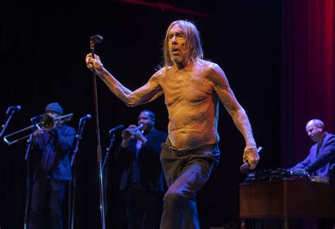  Iggy Pop's Doggy Style Performance: A Masterclass in Controlled Chaos or a Step Too Far?